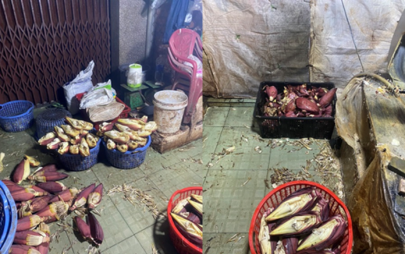 Kết quả kiểm tra đột xuất các cơ sở kinh doanh bắp chuối, rau muống trên địa bàn Thành phố Hồ Chí Minh